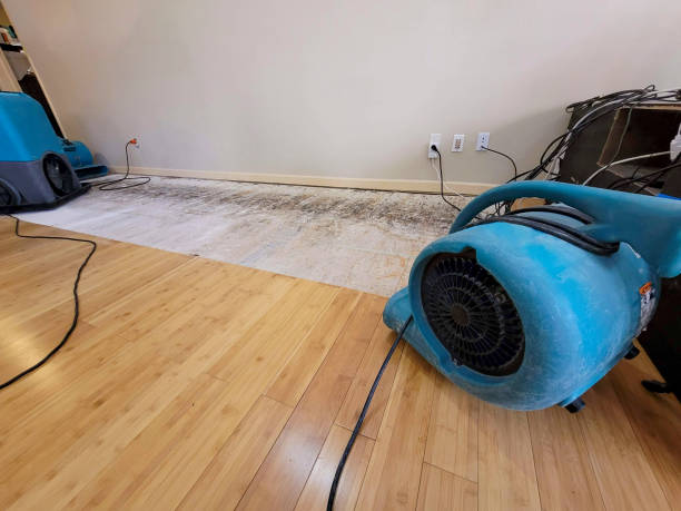 Professional Basement Flood Cleanup technician working in Vance, SC